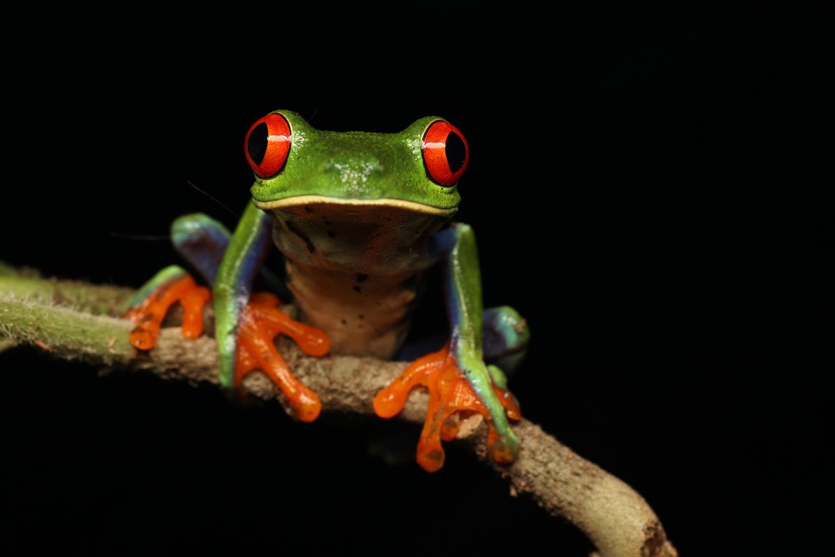 Costa Rica